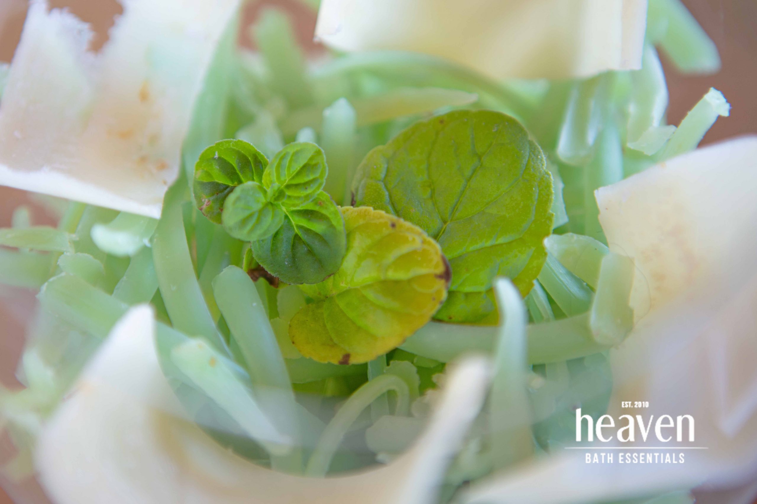 heaven-soaps_peppermint-artisan-homemade-soap-wilderness